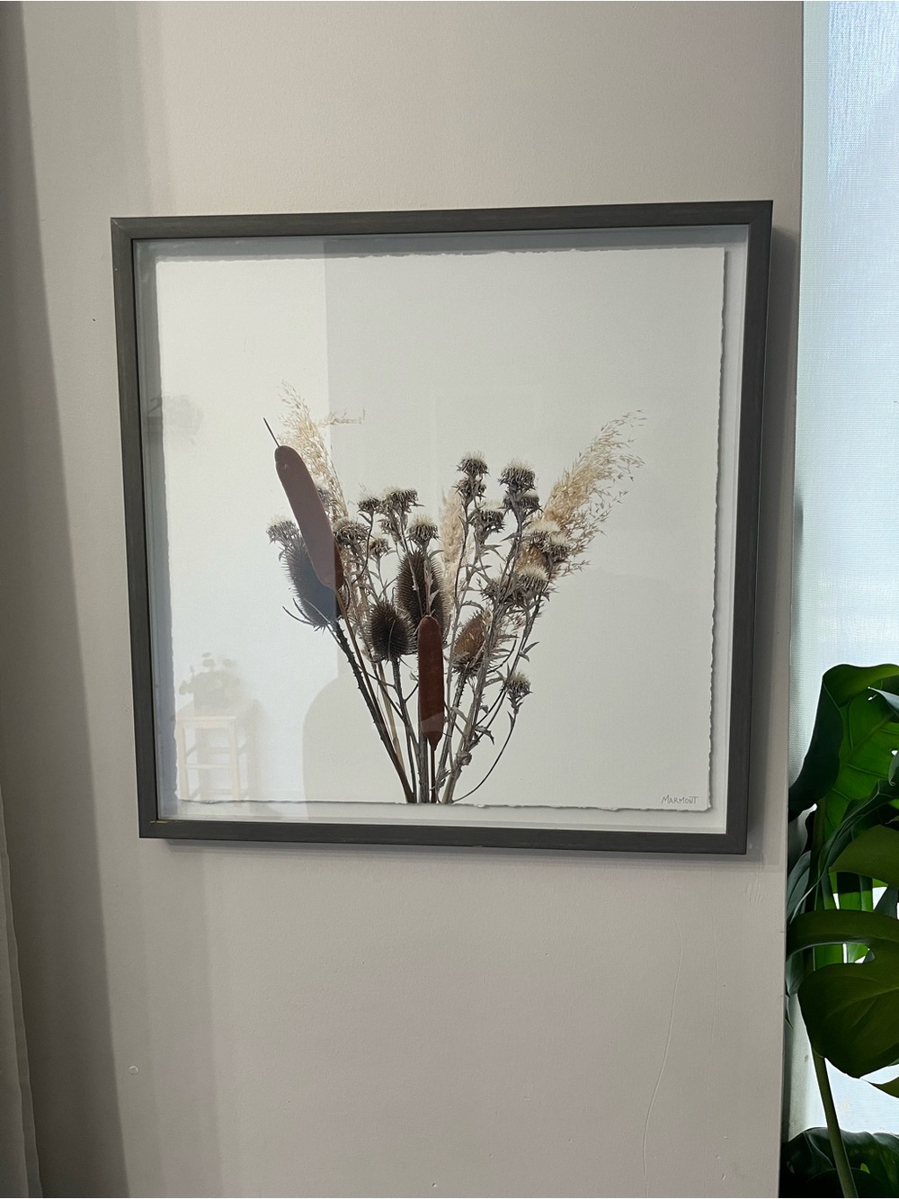 Framed Dried Floral Wall Art in Brown and Cream painting.